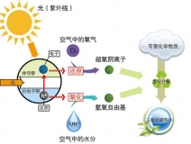 什么甲醛治理辦法效果好持續(xù)時間長？