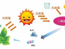 家中甲醛超標，什么才是甲醛治理的正確姿勢？