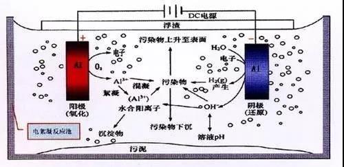 我買了一個甲醛檢測儀，吹口氣后發(fā)現(xiàn)原來我才是“地表最強”污染源！