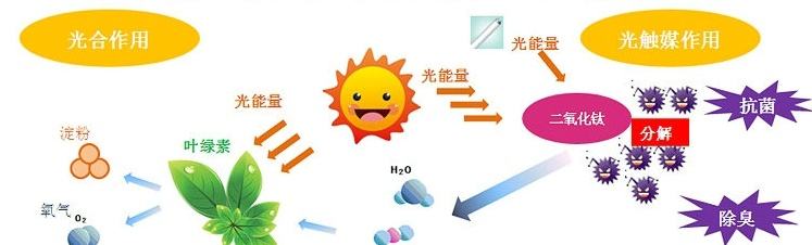 甲醛治理用什么辦法最正確？這三點常見的除甲醛辦法其實是誤區(qū)