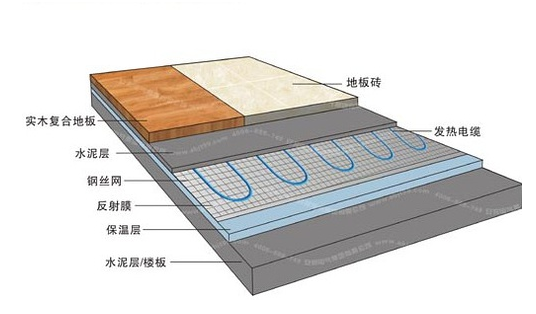 冬季，它們成了甲醛的幫兇