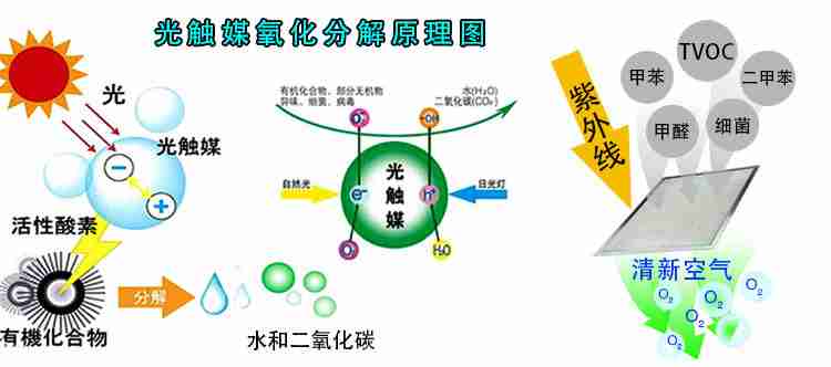 除甲醛常用方法，專家告訴你哪些有用