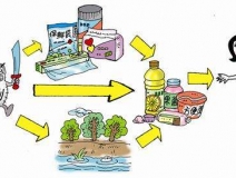 食品中有塑化劑嗎？這些食品中含有大量塑化劑，食用時(shí)一定要注意！