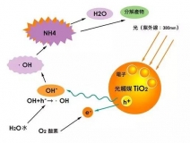 現(xiàn)在光觸媒的價格是多少？