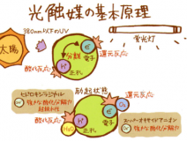 新房除甲醛方法