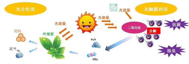 光觸媒去除房間甲醛爭(zhēng)議很大？